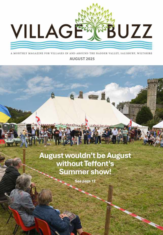 Village Buzz August 2025 cover