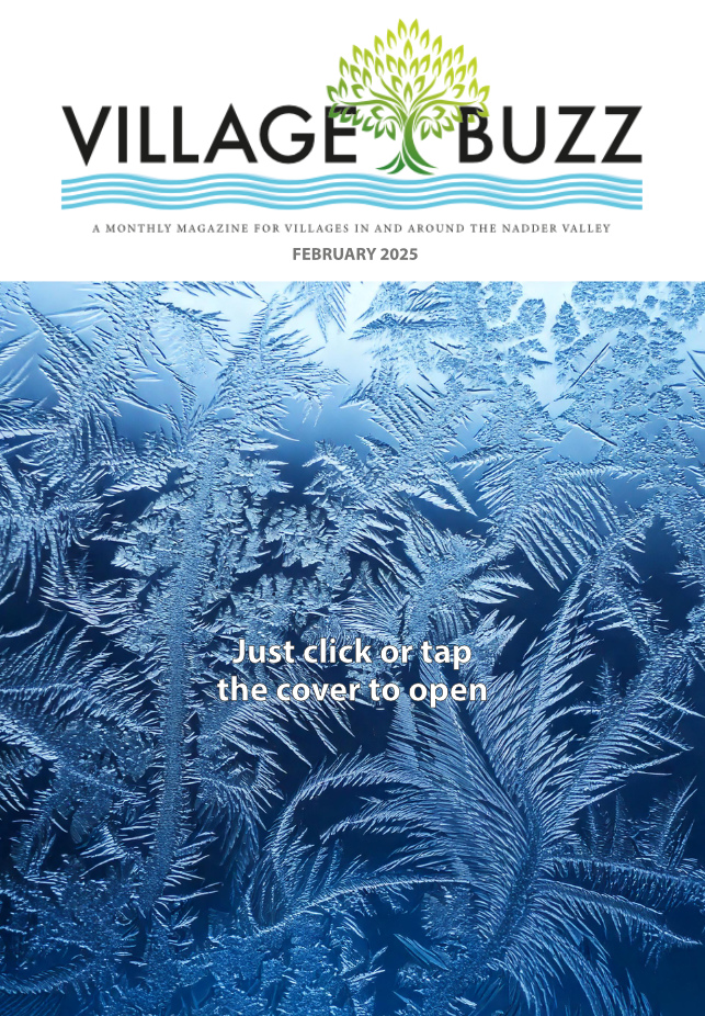 Village Buzz February 2025 cover