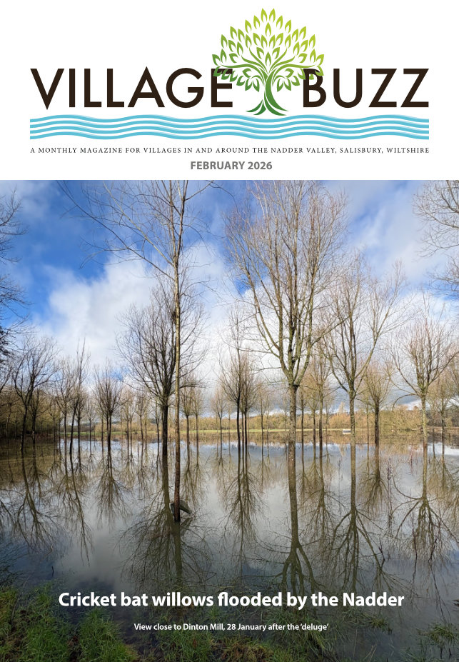 Cover of the February 2026 Village Buzz magazine