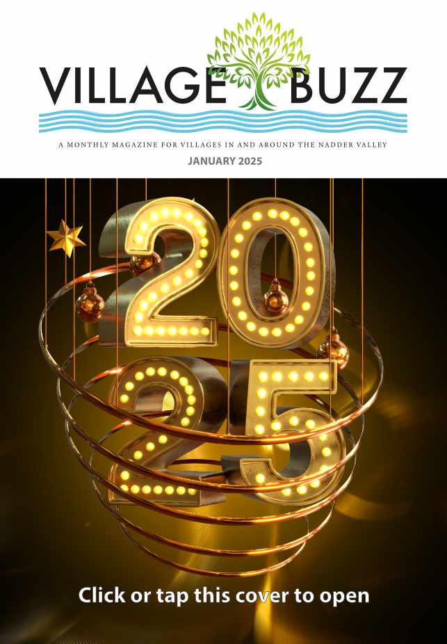 Village Buzz January 2025 cover
