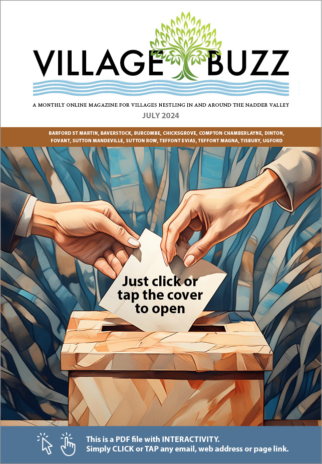 Village Buzz July 2024 cover