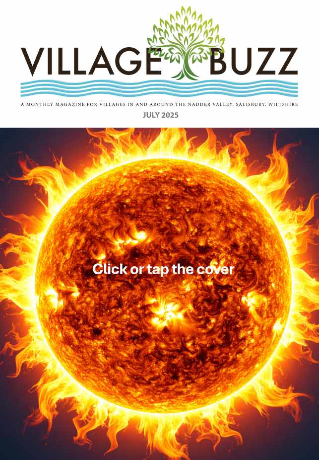 Village Buzz June 2025 cover