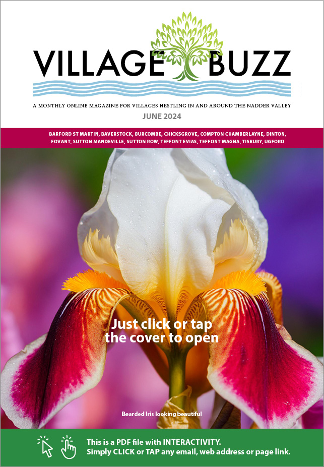 Village Buzz June 2024 cover