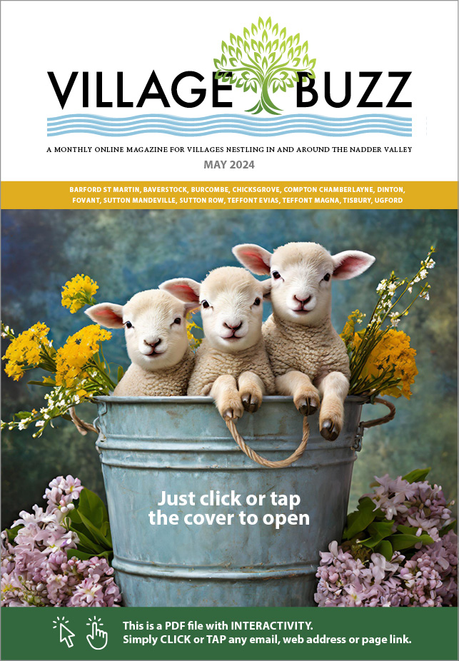 Village Buzz May 2024 cover
