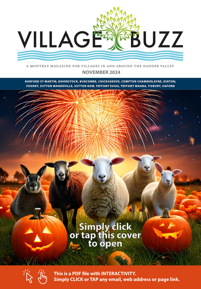 Village Buzz November 2024 cover