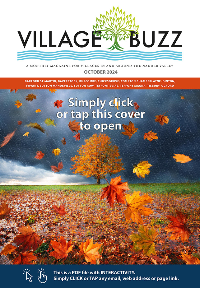 Village Buzz October 2024 cover