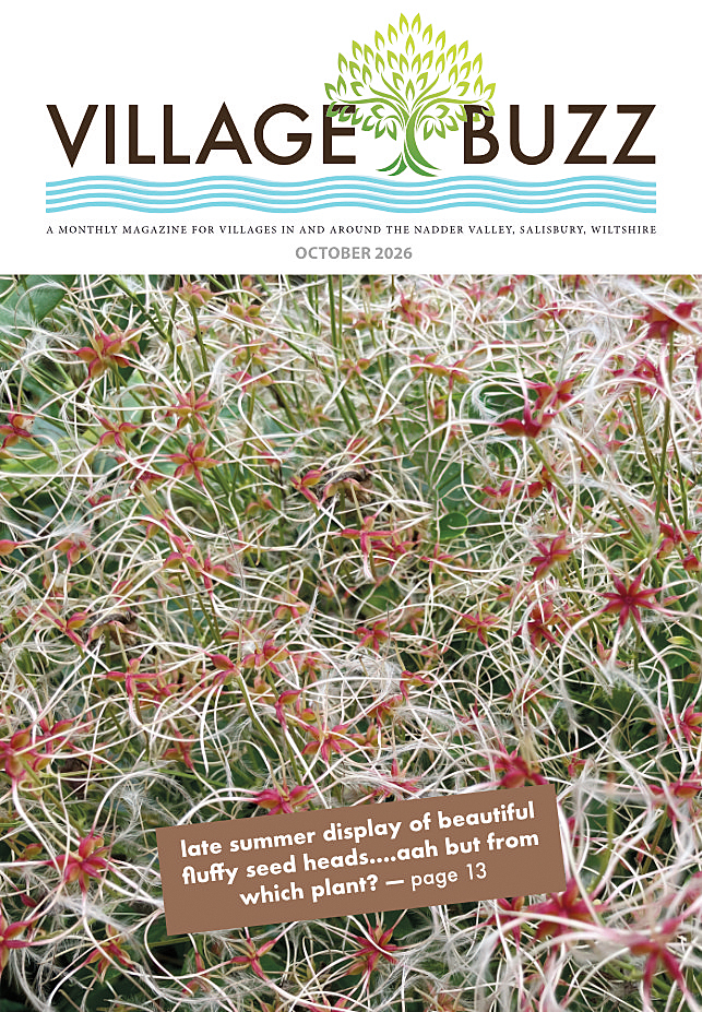 Village Buzz October 2026 magazine cover