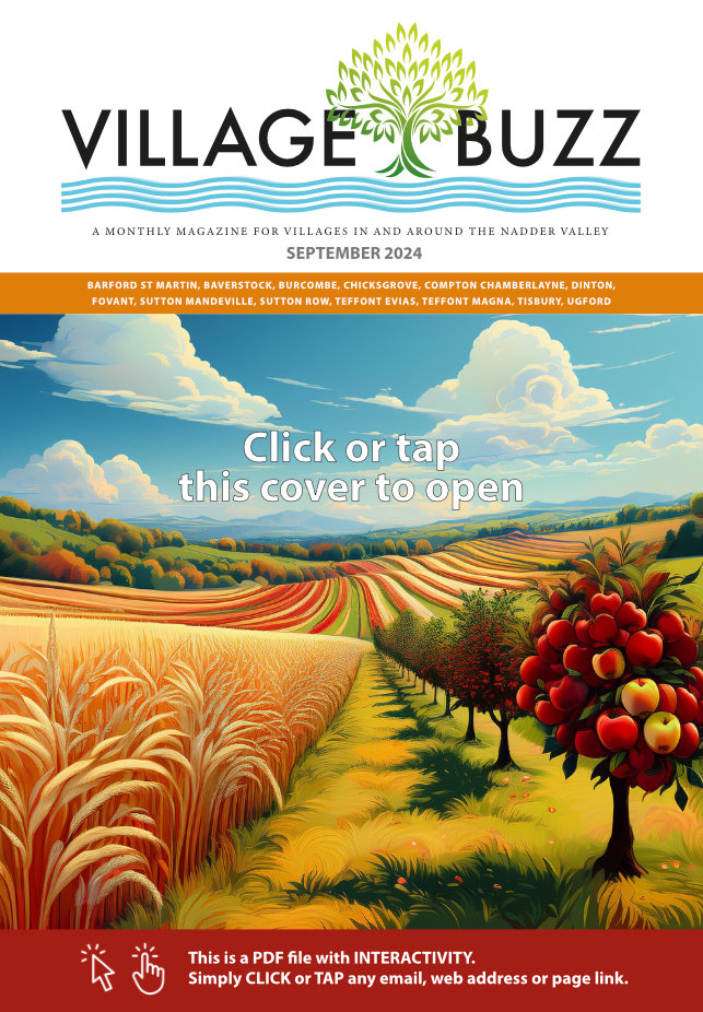 Village Buzz September 2024 cover