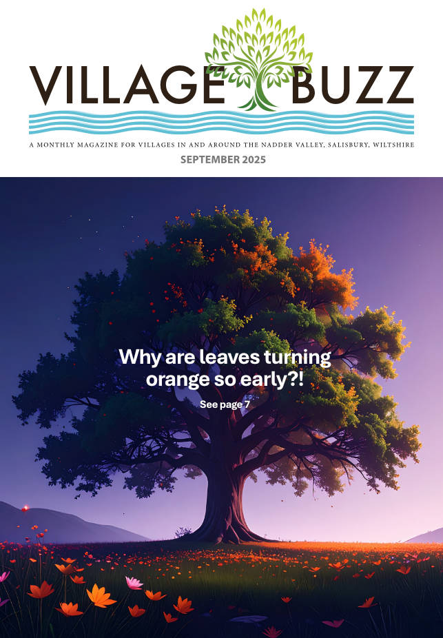 Village Buzz September 2025 cover